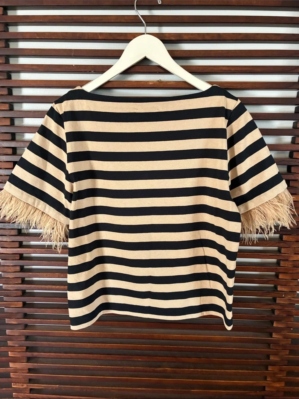 🎉NEW LISTING!🎉J. Crew Black and Beige Striped Short Sleeve Top with Feather Trim